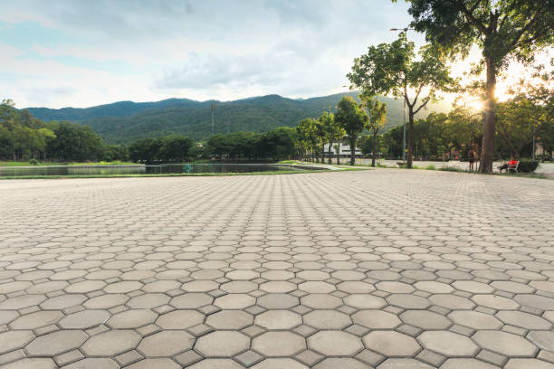 Best Concrete Paver Driveway  in Terra Bella, CA