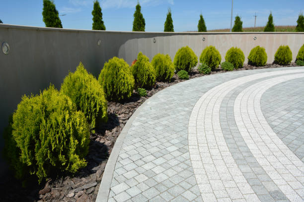 Best Custom Driveway Pavers  in Terra Bella, CA